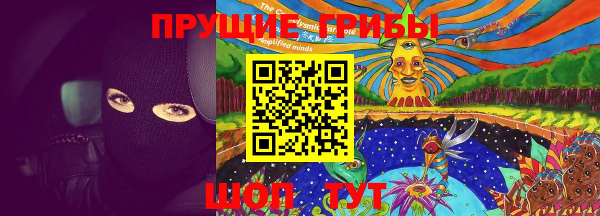 Галлюциногенные грибы GOLDEN TEACHER  Вход с VPN  Бузулук 